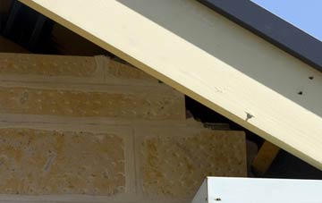 soffit repair Merlins Bridge
